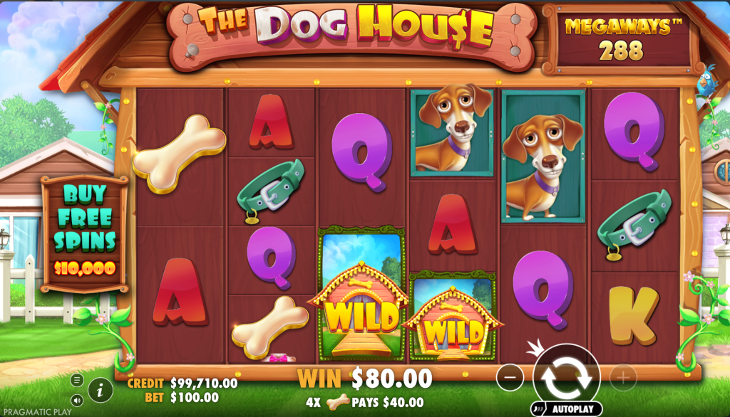 ganhos da casa do cachorro megaways